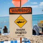 The Real Hazards Facing UK Beaches Shark warning sign on a busy beach