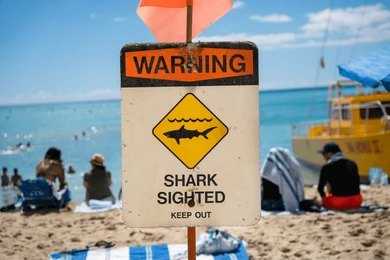 2386267763 Shark warning sign on a busy beach