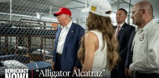 A Prison Surrounded by Crocodiles Where Are The Detainees? Hundreds of "Alligator Alcatraz" Prisoners Disappear from ICE Database