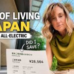 Energy Chaos Sends Bills Climbing Japan Electricity Prices: Is All Denka Worth It?