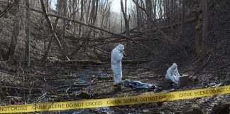 forensic investigators in hazmat suits at a taped-off woodland scene