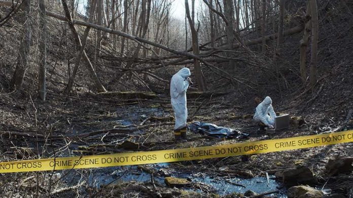 shutterstock_1856515984 forensic investigators in hazmat suits at a taped-off woodland scene