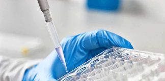 AI Writes DNA—Viruses Come Alive Gloved hand holding a multiwell plate as a pipette dispenses liquid