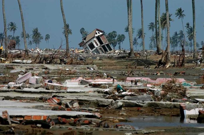 Tilted house amid widespread coastal destruction with palm trees