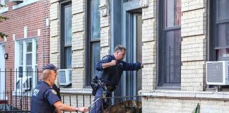 Police officers with a K-9 approach an apartment doorway