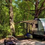 FBI Surrounds Remote Trailer — Why? travel trailer parked at a wooded campsite