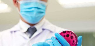 Scientist holding a petri dish with pink agar