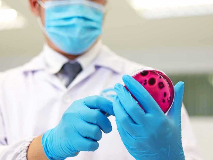 Scientist holding a petri dish with pink agar