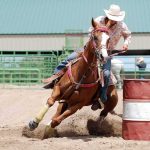 3 Horses Stabbed at Las Vegas Horse Show — Teen Arrested Barrel racer guiding a horse around a barrel in an arena