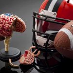Behind The Helmets: A Grim Tally Emerges Brain model beside football helmet and ball