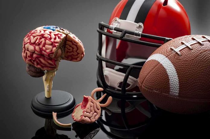 Brain model beside football helmet and ball