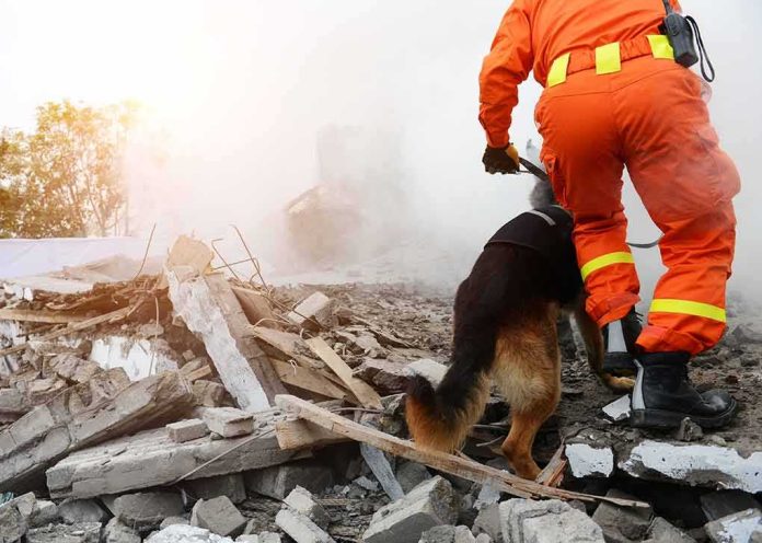 shutterstock_607347791-1 rescue worker with dog searching rubble