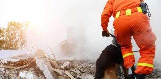 rescue worker with dog searching rubble