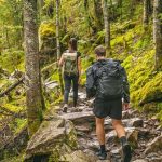 Hikers on a rocky forest trail with backpacks