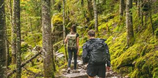 Weeklong Wilderness Shock: Grandma Found Alive Hikers on a rocky forest trail with backpacks