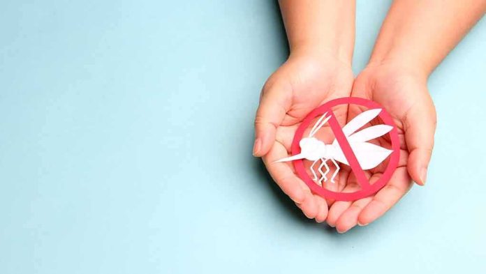 Hands holding a mosquito prohibition symbol