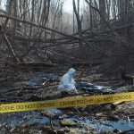 forensic investigators at a taped-off woodland crime scene