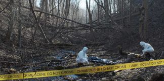 Timeline Twist Exposes Husband’s Wild ICE Tale forensic investigators at a taped-off woodland crime scene
