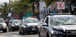 police cars with flashing lights drive down a city street