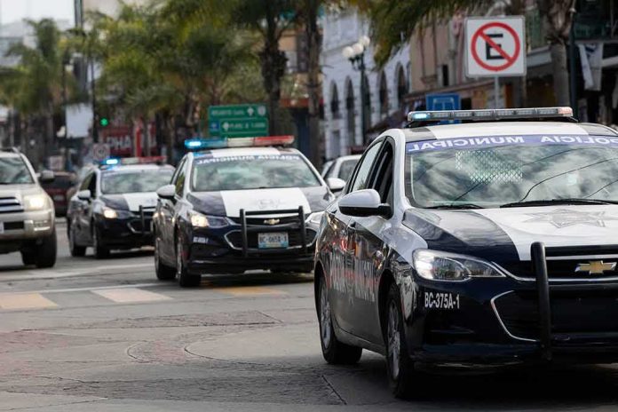 police cars with flashing lights drive down a city street