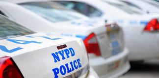 Federal Shooting Sparks Arrests in New York Row of NYPD police cars parked in a line